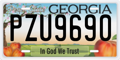 GA license plate PZU9690