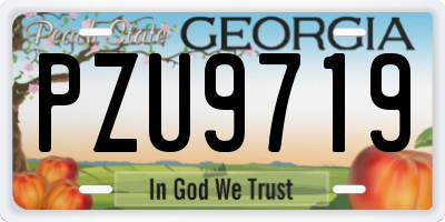 GA license plate PZU9719