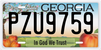 GA license plate PZU9759