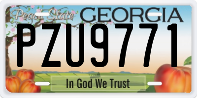 GA license plate PZU9771
