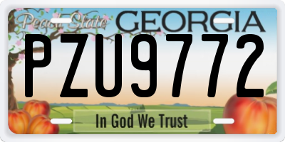 GA license plate PZU9772