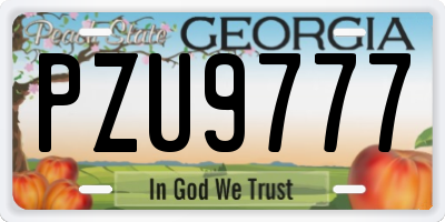 GA license plate PZU9777