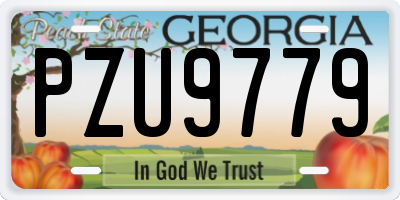 GA license plate PZU9779