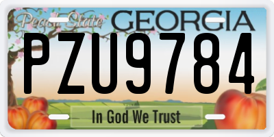 GA license plate PZU9784