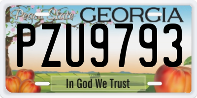 GA license plate PZU9793