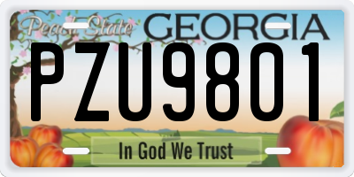 GA license plate PZU9801