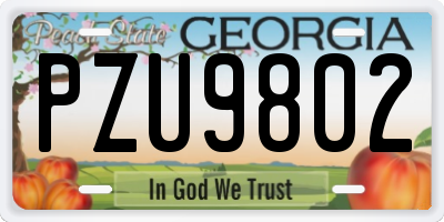 GA license plate PZU9802