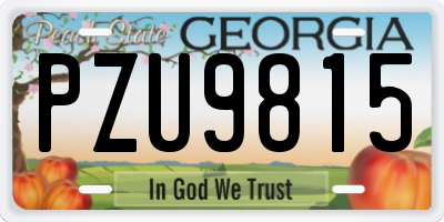 GA license plate PZU9815