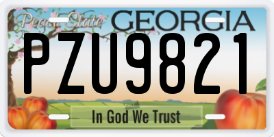 GA license plate PZU9821