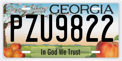 GA license plate PZU9822