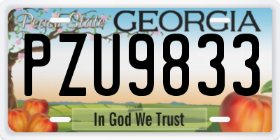 GA license plate PZU9833