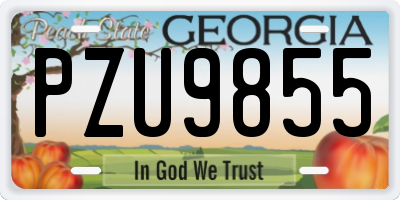 GA license plate PZU9855