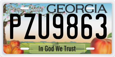 GA license plate PZU9863