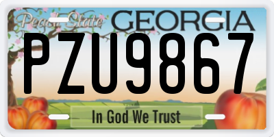 GA license plate PZU9867
