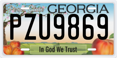 GA license plate PZU9869