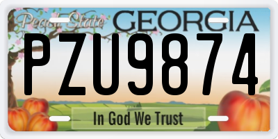 GA license plate PZU9874