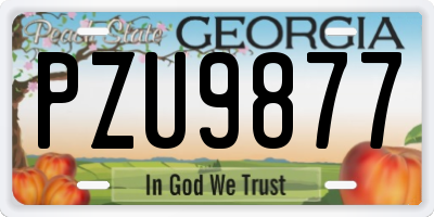 GA license plate PZU9877