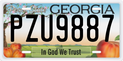 GA license plate PZU9887