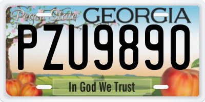 GA license plate PZU9890