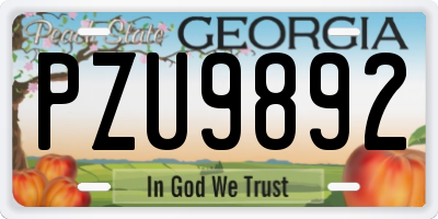 GA license plate PZU9892