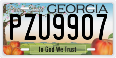 GA license plate PZU9907