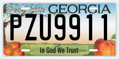 GA license plate PZU9911
