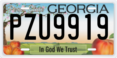 GA license plate PZU9919