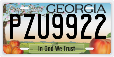 GA license plate PZU9922