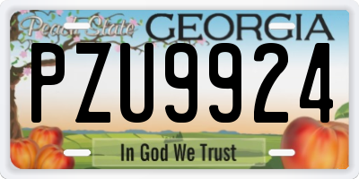 GA license plate PZU9924