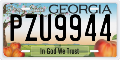 GA license plate PZU9944