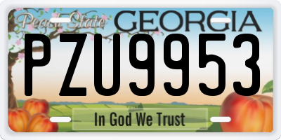 GA license plate PZU9953