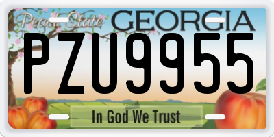 GA license plate PZU9955