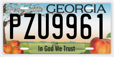 GA license plate PZU9961