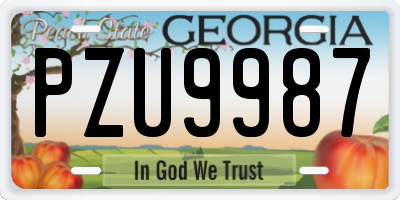 GA license plate PZU9987