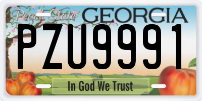 GA license plate PZU9991