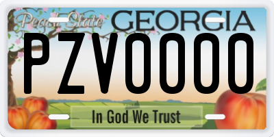 GA license plate PZV0000