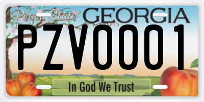 GA license plate PZV0001