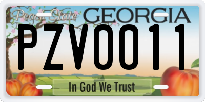 GA license plate PZV0011