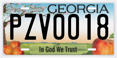 GA license plate PZV0018