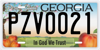 GA license plate PZV0021
