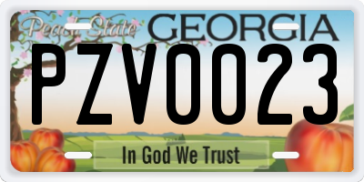 GA license plate PZV0023