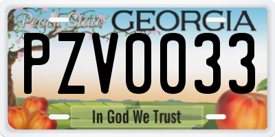 GA license plate PZV0033