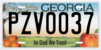 GA license plate PZV0037