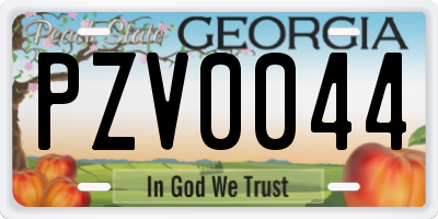 GA license plate PZV0044