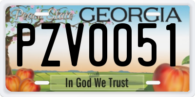 GA license plate PZV0051