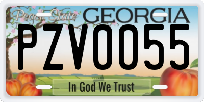 GA license plate PZV0055