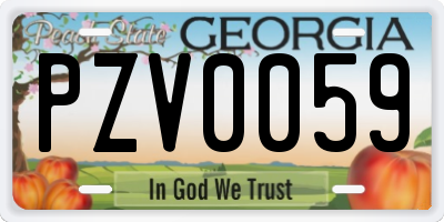 GA license plate PZV0059
