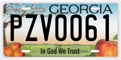 GA license plate PZV0061