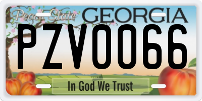 GA license plate PZV0066