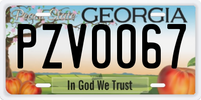 GA license plate PZV0067